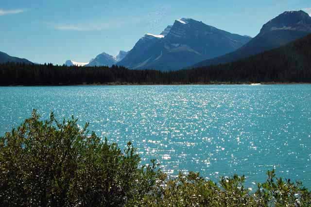 Waterfowl Lake